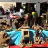 Gli Espositori - Festa 25 Aprile 2016